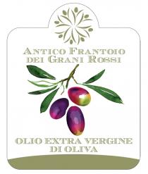 ANTICO FRANTOIO DEI GRANI ROSSI OLIO EXTRA VERGINE DI OLIVA