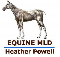 EQUINE MLD Heather Powell