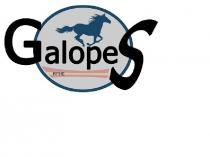 GalopeS RFHE