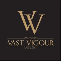 VV VAST VIGOUR