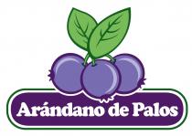 ARANDANOS DE PALOS