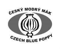 Český modrý mák Czech blue poppy