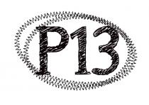 P13