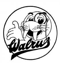 Walrus.