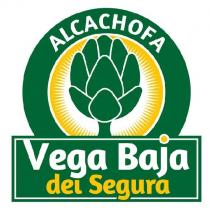 ALCACHOFA VEGA BAJA DEL SEGURA