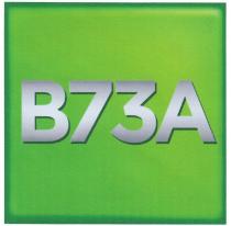 B73A