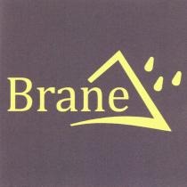 Brane