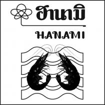 HANAMI