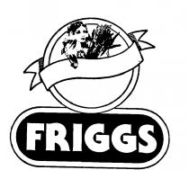 FRIGGS