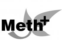 METH +