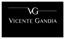 VG VICENTE GANDIA