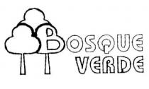 BOSQUE VERDE