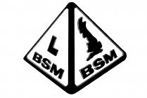 L BSM