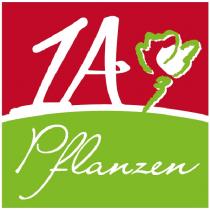 1A Pflanzen