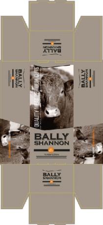 BALLY SHANNON