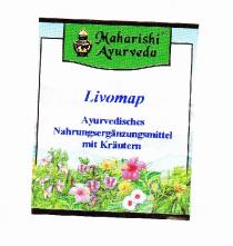 Maharishi Ayurveda LIVOMAP Ayurvedisches Nahrungserg?nzungsmittel mit Kr?utern