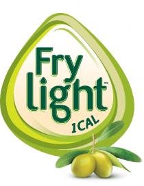 FRYLIGHT 1 CAL