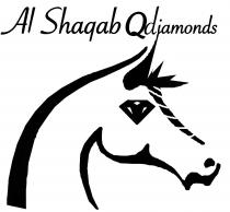 Al Shaqab Qdiamonds