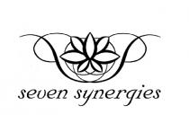 seven synergies