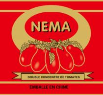 NEMA DOUBLE CONCENTRE DE TOMATES EMBALLE EN CHINE