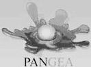 PANGEA