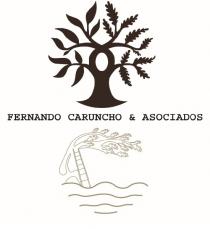 FERNANDO CARUNCHO & ASOCIADOS