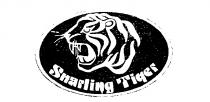 SNARLING TIGER