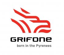 GRIFONE BORN IN THE PYRENEES