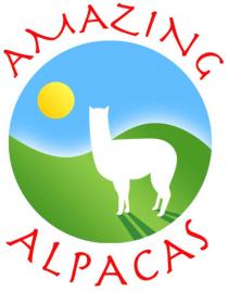 Amazing Alpacas