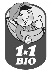 1x1 BIO