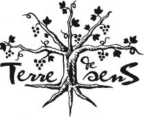 TERRE DE SENS