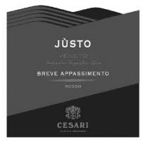 JÚSTO VENETO CESARI