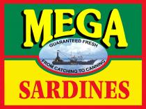 MEGA SARDINES GUARANTEED FRESH FROM CATCHING TO CANNING