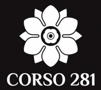 CORSO 281