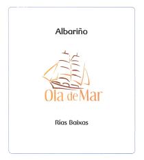 ALBARIÑO OLA DE MAR RIAS BAIXAS