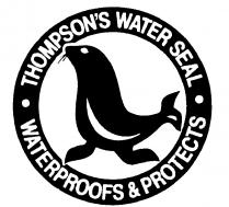 THOMPSON'S WATER SEAL WATERPROOFS & PROTECTS