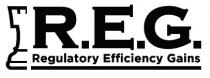 R. E. G. REGULATORY EFFICIENCY GAINS