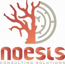 NOESIS Consulting Solutions