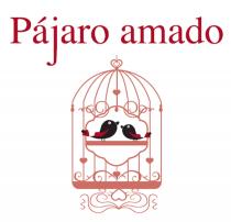 Pájaro Amado