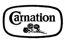 Carnation