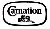 Carnation