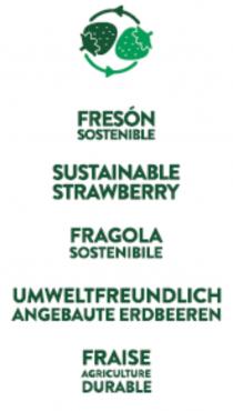 FRESON SOSTENIBLE SUSTAINABLE STRAWBERRY UNWELTFREUNDLICH ANGEBAUTE ERDBEEREN FRAISE AGRICULTURE DUR