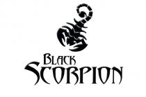 BLACK SCORPION