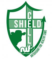 Cell Shield Antioxidant for Healthy Cows