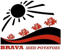 BRAVA SEED POTATOES
