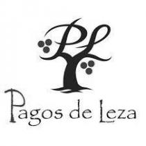 PAGOS DE LEZA