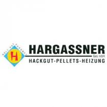 H Holz hat Zukunft Hargassner GmbH Hackgut-Pellets-Heizung