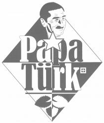 Papa Türk