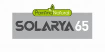 Painting Natural SOLARYA 65