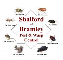 SHALFORD AND BRAMLEY PEST & WASP CONTROL THE FLEA MAN THE RAT MAN THE BEDBUG MAN THE MOLE MAN THE SQUIRREL MAN THE MOUSE MAN THE INSECT MAN THE WASP MAN